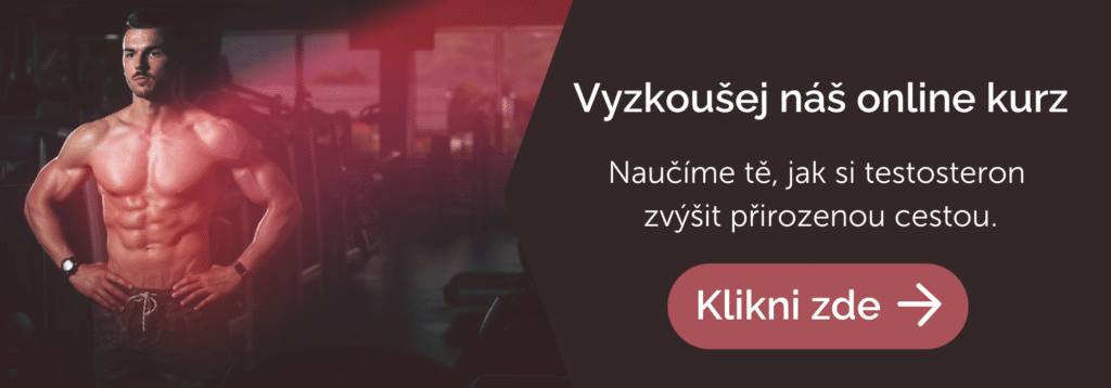 Vyzkoušej náš online kurz! Naučíme tě, jak si testosteron zvýšit přirozenou cestou.
